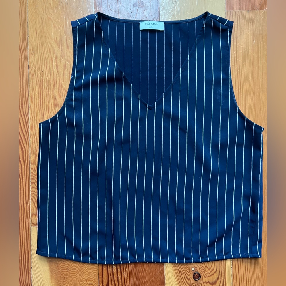 Aritzia BABATON pinstripe tank